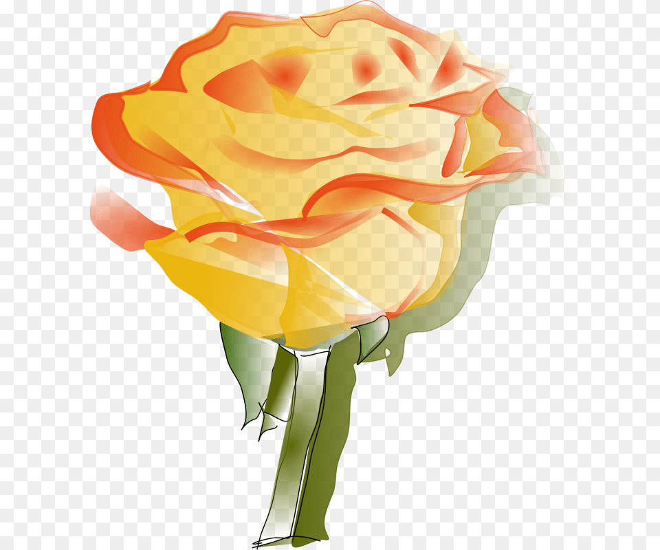 Reedabadeeda Yellowrose, Flower, Plant, Rose, Petal Free Png Download