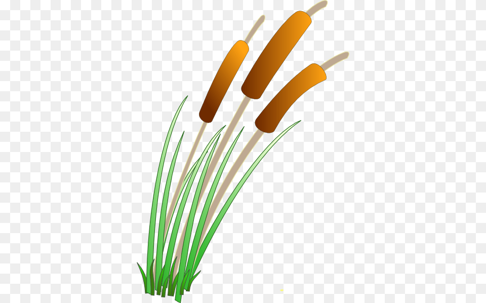Reeds Clip Art, Plant, Reed, Grass, Smoke Pipe Free Transparent Png