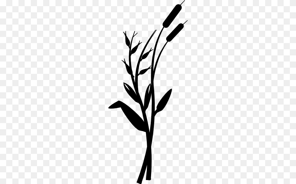 Reeds Clip Art, Silhouette, Herbal, Herbs, Plant Free Png