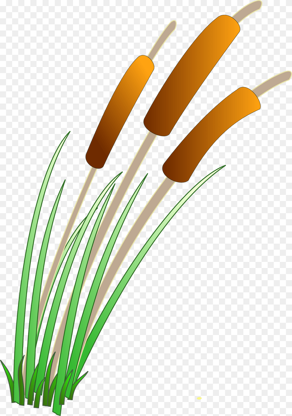 Reeds Clipart, Anther, Flower, Grass, Plant Free Png Download
