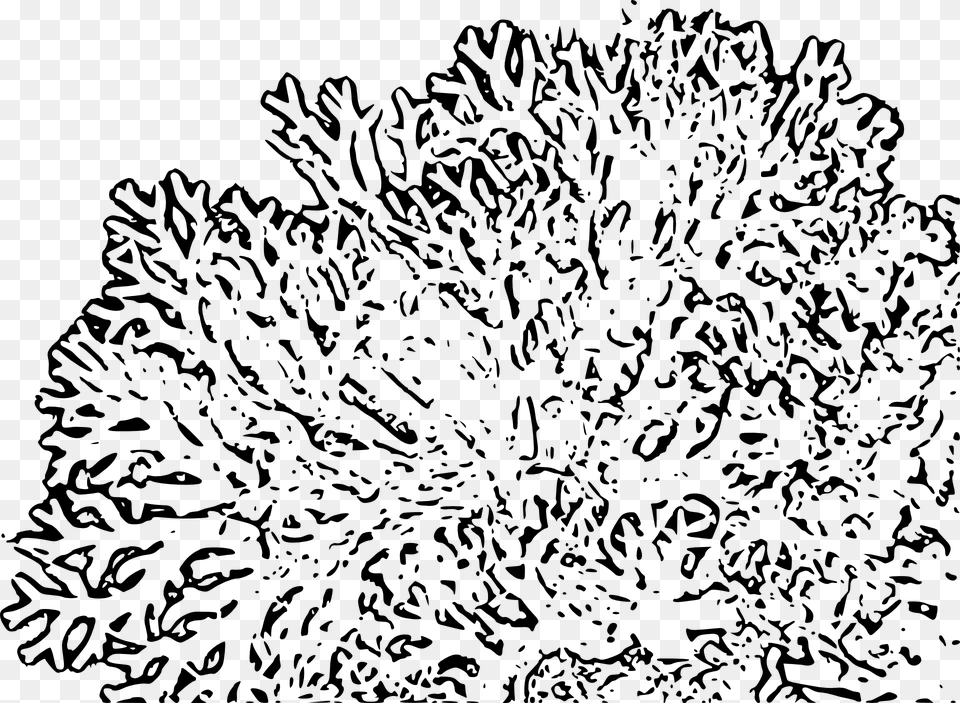 Reef Clipart Transparent Coral Reefs Black And White Clipart, Gray Free Png Download