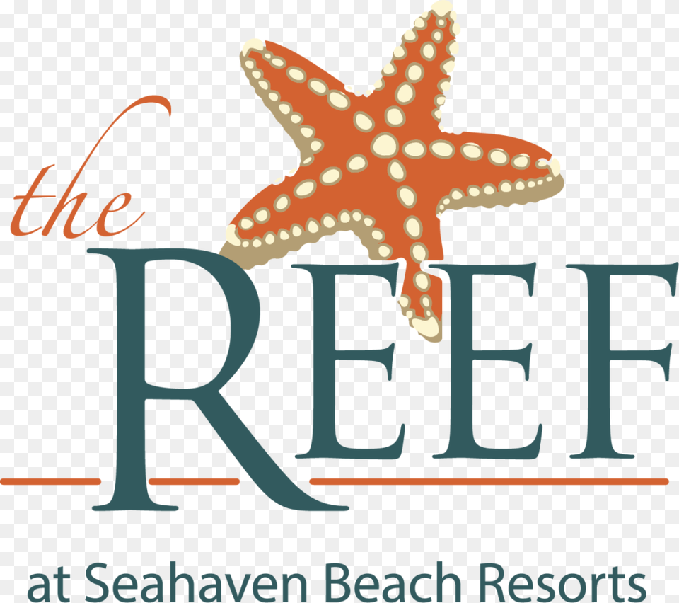 Reef Hotel Logo Outlines Starfish, Animal, Sea Life, Invertebrate, Bulldozer Png