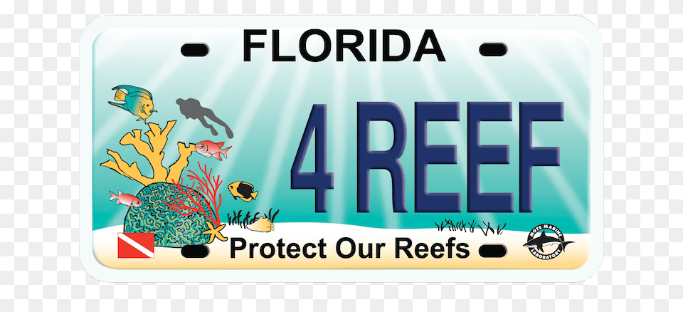 Reef Plate Mote Marine Laboratory Aquarium Mote Marine, License Plate, Transportation, Vehicle Free Png Download