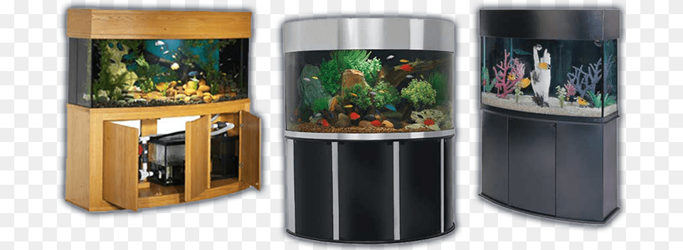 Reef Ready Saltwater And Freshwater Aquariums Aquarium, Animal, Fish, Sea Life, Water Free Png