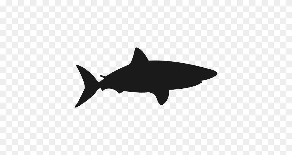 Reef Shark Silhouette, Animal, Sea Life, Fish, Great White Shark Free Png