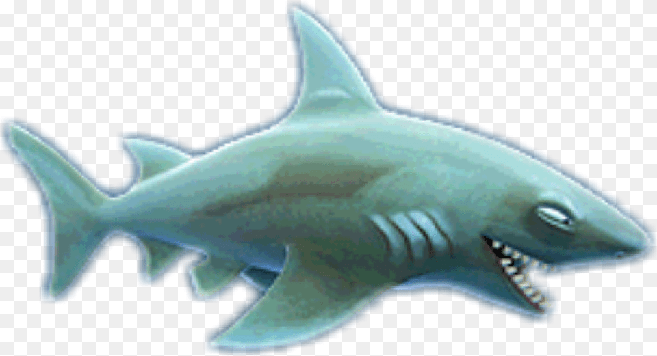 Reefshark Hungry Shark Evolution Clip Art, Animal, Sea Life, Fish Png Image
