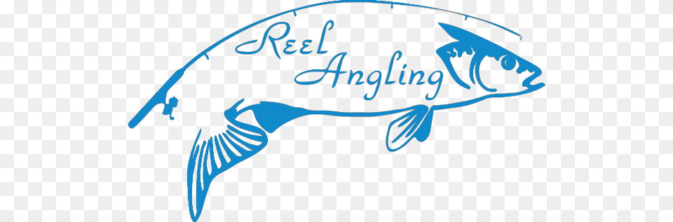 Reel Angling Supplies, Animal, Sea Life, Text, Fish Png Image