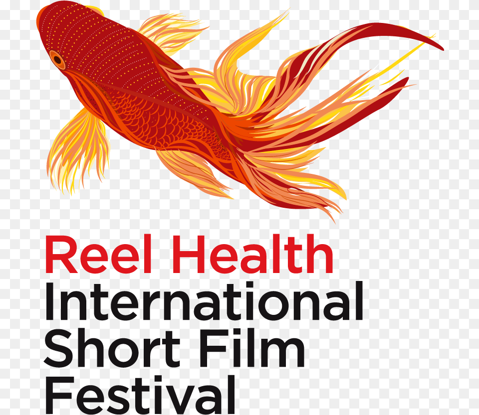 Reel Health International Short Film Festival Goldfish, Animal, Sea Life, Fish Free Png