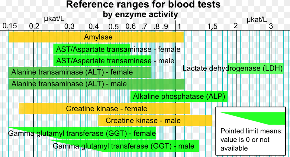Reference Ranges For Blood Tests Enzyme Blood Test, Text Png Image