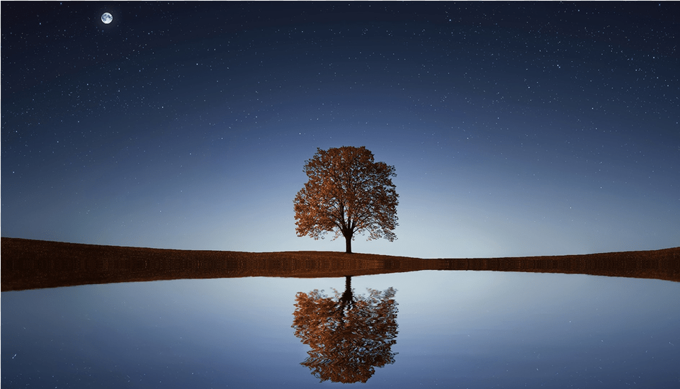 Reflection, Outdoors, Tree, Nature, Night Png Image