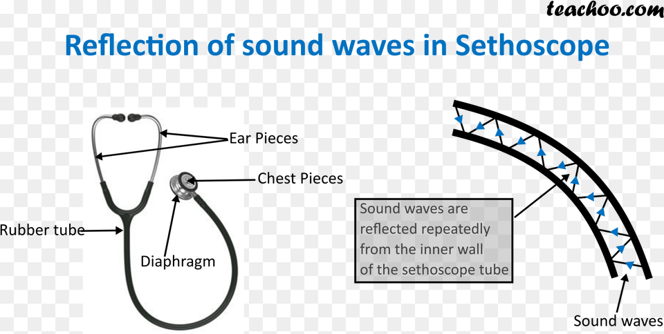 Reflection Of Sound Waves In Sethoscope Stethoscope Reflection Of Sound, Chart, Plot, Knot Png Image