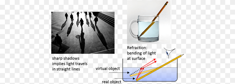 Reflection Refraction Ray Of Light, Cup, Person, Art, Collage Free Png