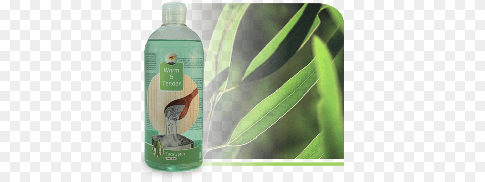 Refreshing Sauna Opgiet Eucalyptus, Bottle, Herbal, Herbs, Plant Free Png