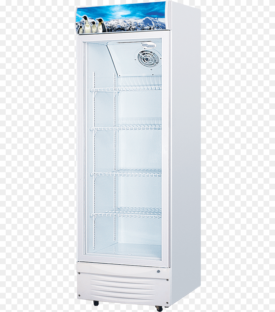 Refrigerator, Animal, Appliance, Bird, Device Png