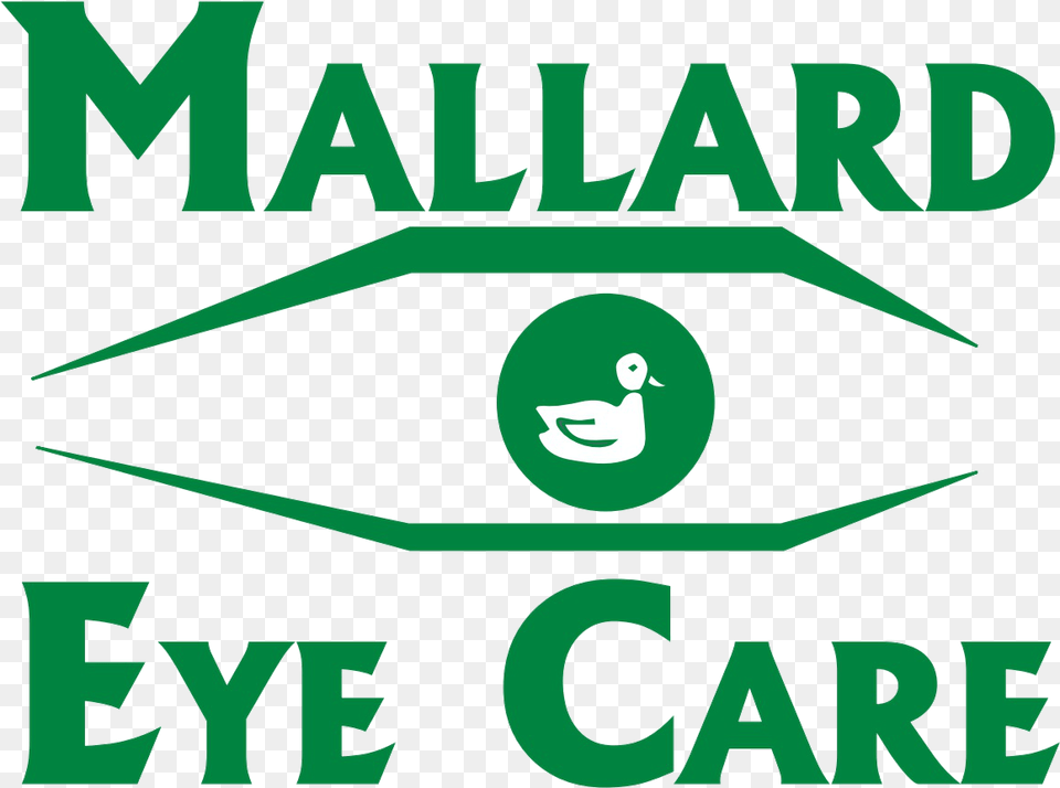 Refrigerator Magnet, Animal, Fish, Sea Life, Shark Free Png Download