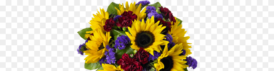 Regalar Flores Gift, Flower, Flower Arrangement, Flower Bouquet, Plant Free Png