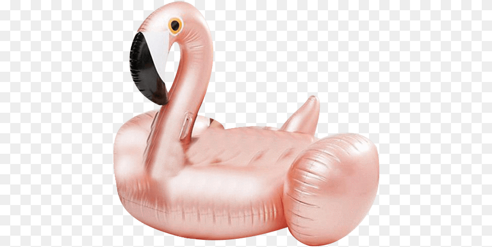 Regalos Originales Giant Flamingo Inflatable Pool Float Toy Goobat Swimming, Animal, Beak, Bird, Fish Png