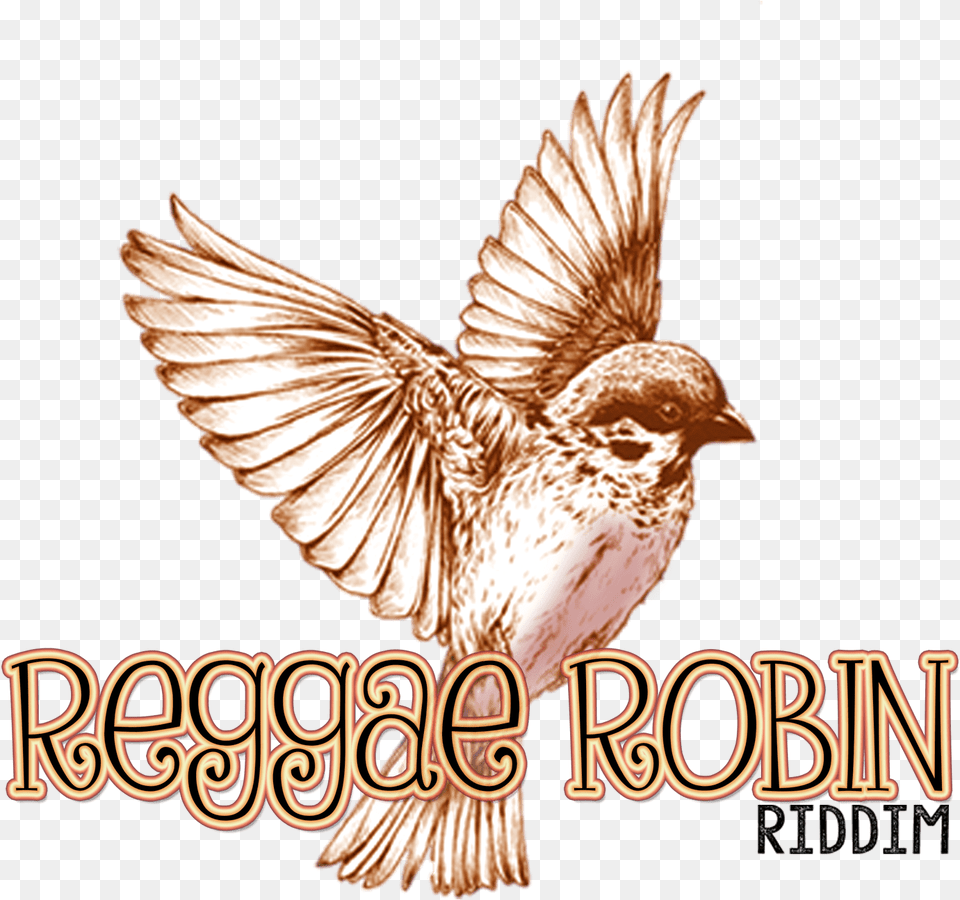 Reggae Robin Riddim Logo Black And White Bird Tattoo, Animal, Sparrow Free Transparent Png