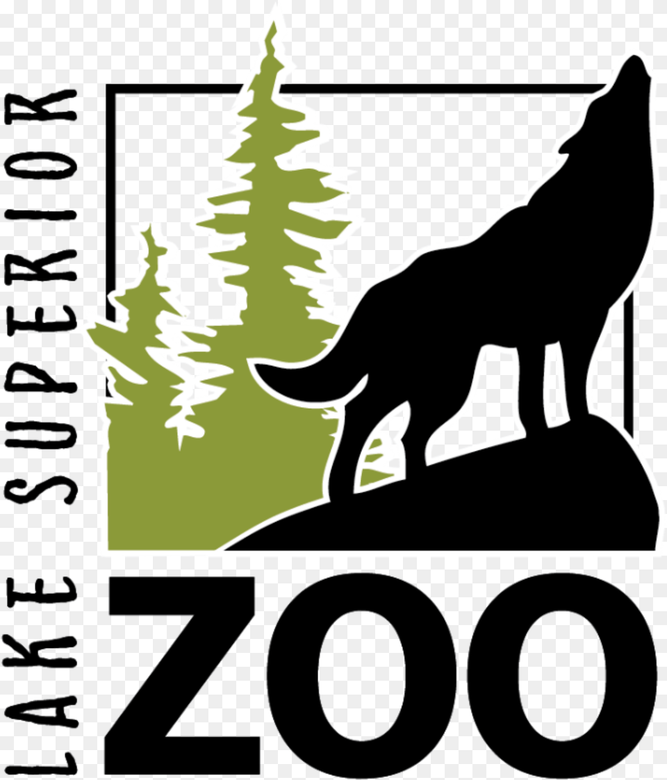 Register For Animal Care Camp Duluth Lake Superior Zoo, Stencil, Silhouette, Tree, Plant Png