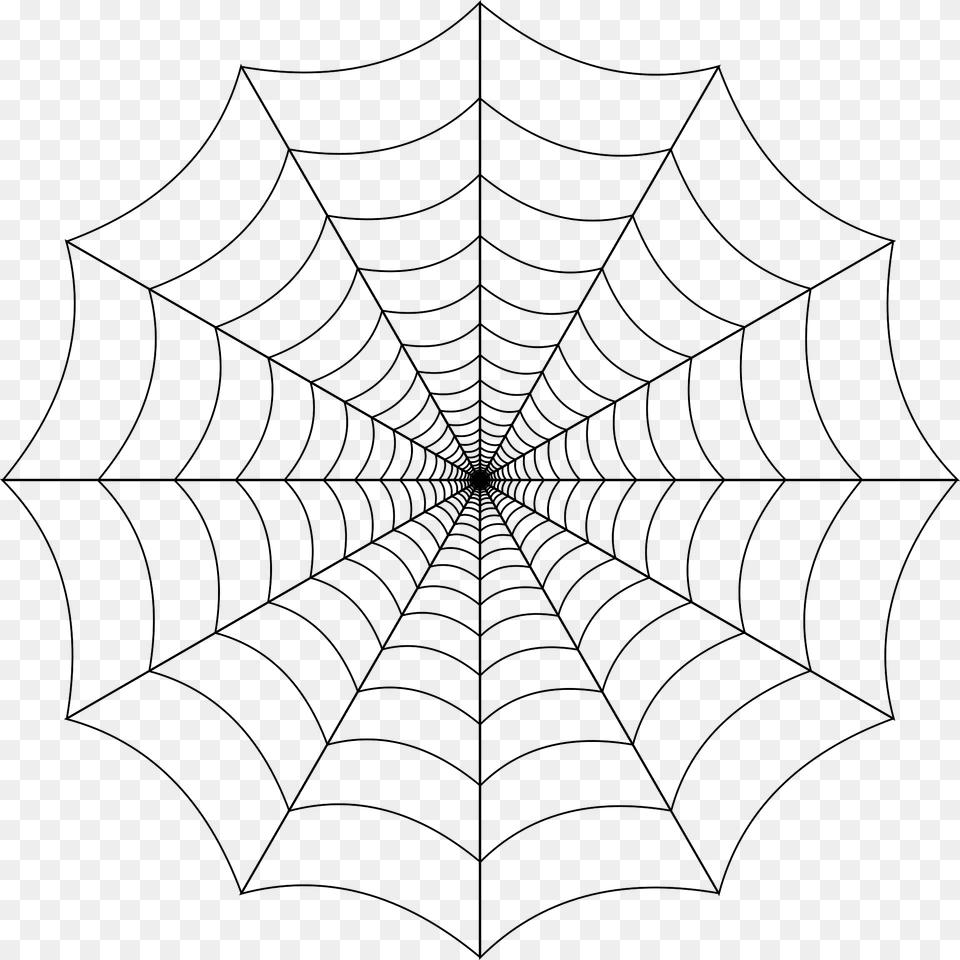 Regular Round Spider Web, Spider Web Free Png Download