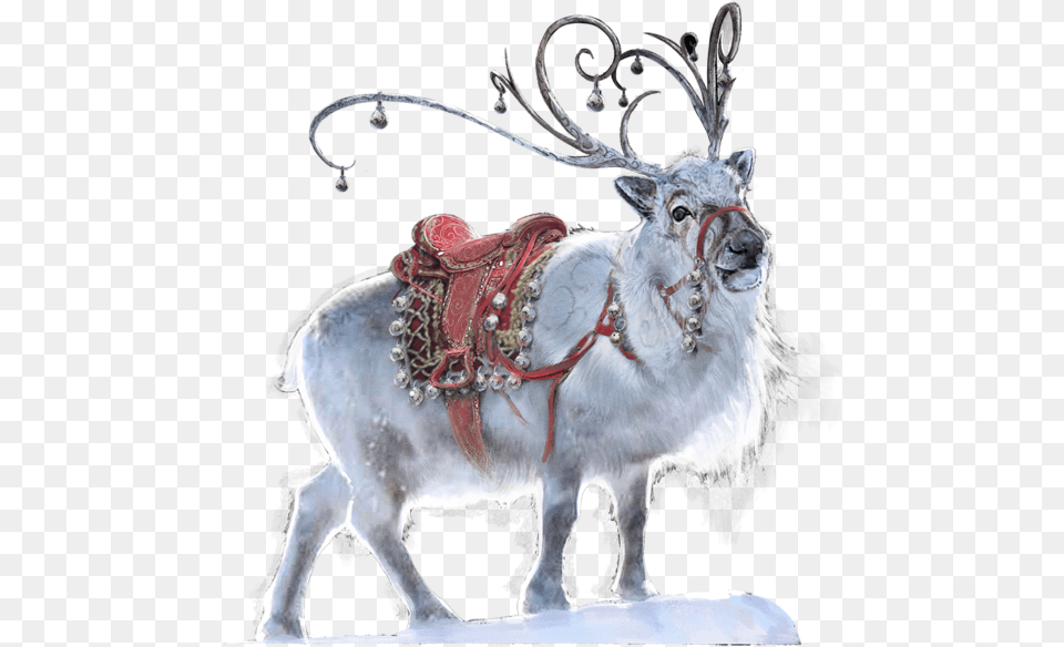 Reindeer, Animal, Deer, Mammal, Wildlife Png