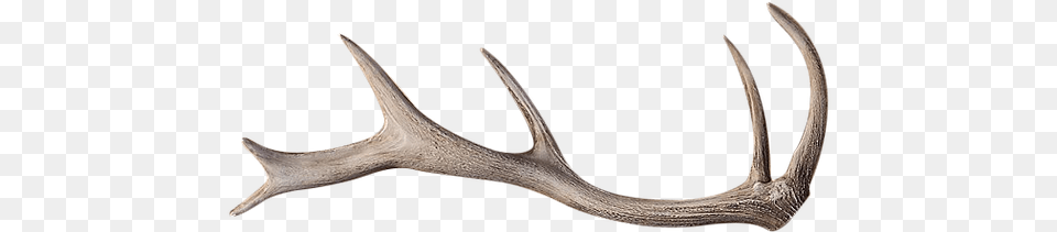 Reindeer, Antler, Smoke Pipe Png