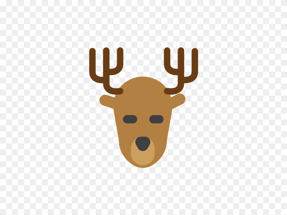 Reindeer, Face, Head, Person Png