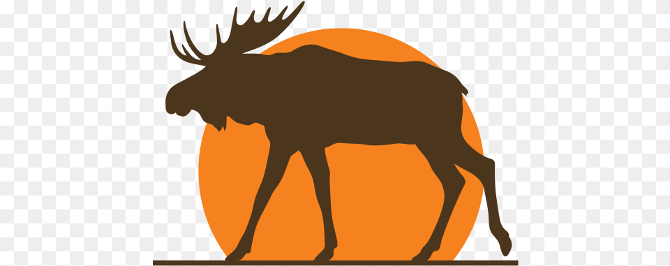 Reindeer, Animal, Mammal, Moose, Wildlife Png Image