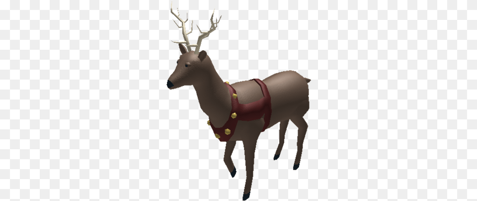 Reindeer, Animal, Deer, Elk, Mammal Png Image