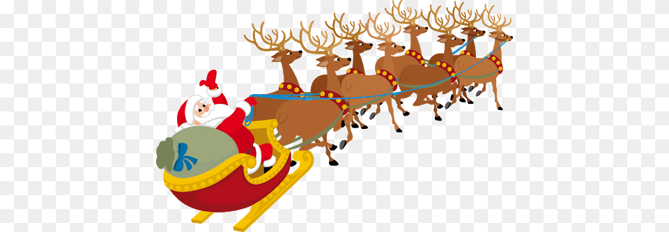 Reindeer, Animal, Deer, Mammal, Wildlife Free Png