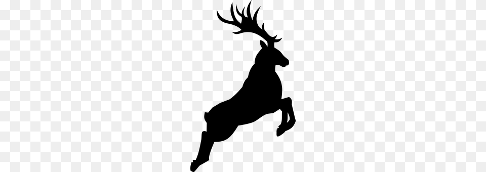 Reindeer Gray Free Png