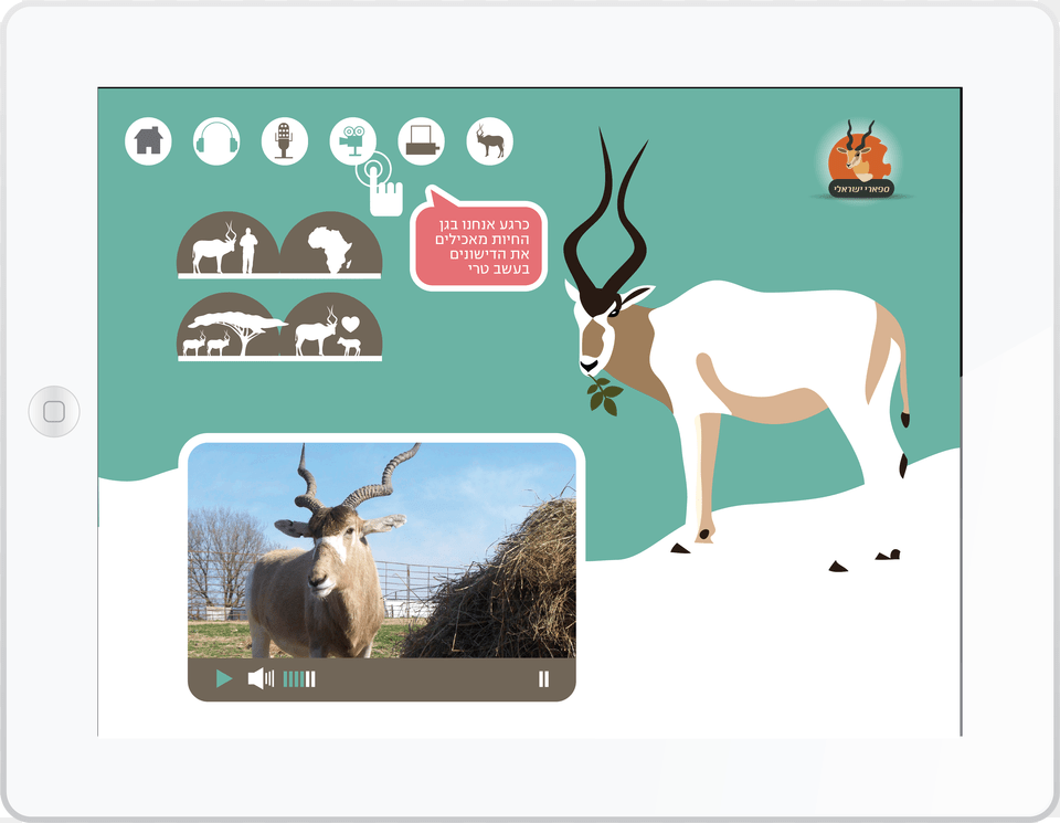 Reindeer, Animal, Antelope, Impala, Mammal Free Png Download