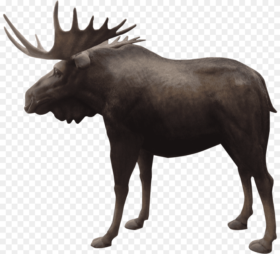 Reindeer, Animal, Mammal, Moose, Wildlife Free Png Download