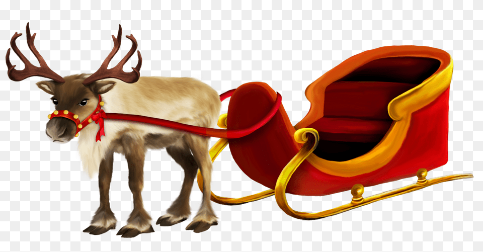 Reindeer Png