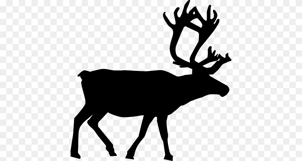 Reindeer, Gray Png Image