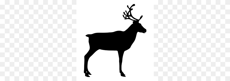 Reindeer Animal, Deer, Mammal, Silhouette Free Transparent Png