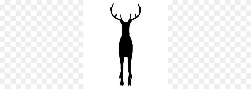 Reindeer Animal, Deer, Mammal, Silhouette Png