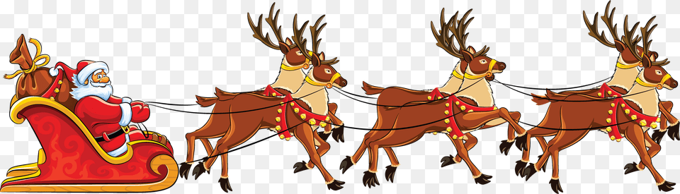 Reindeer, Animal, Deer, Mammal, Wildlife Png