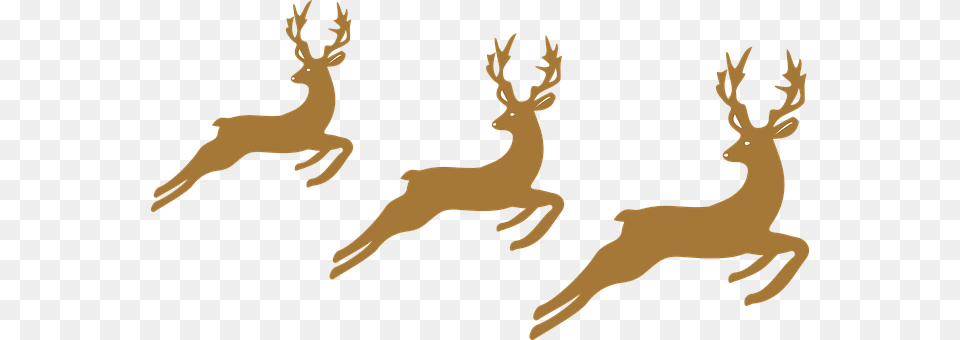 Reindeer Animal, Deer, Mammal, Wildlife Png Image