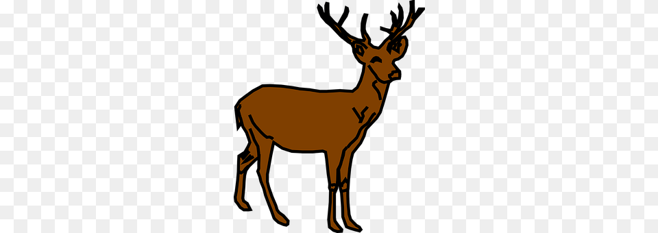 Reindeer Animal, Antelope, Impala, Mammal Free Transparent Png