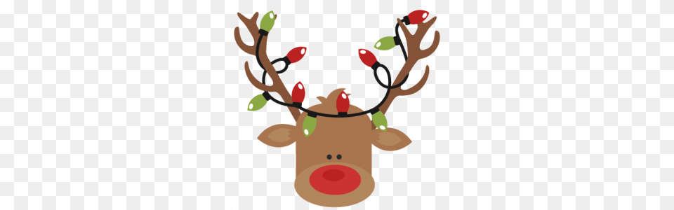 Reindeer, Baby, Person Png