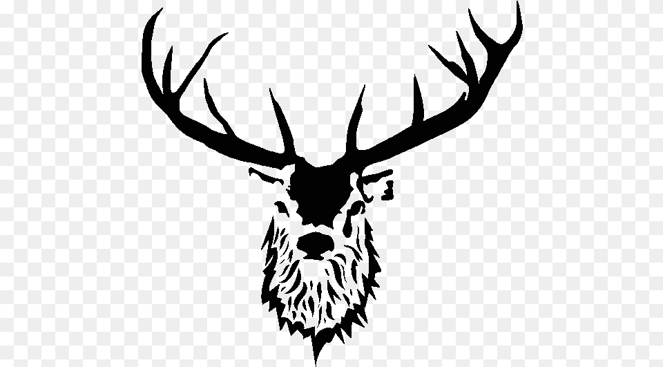 Reindeer, Antler, Animal, Deer, Mammal Png Image