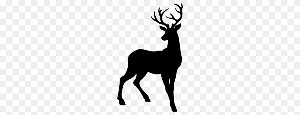 Reindeer, Animal, Deer, Mammal, Silhouette Png Image