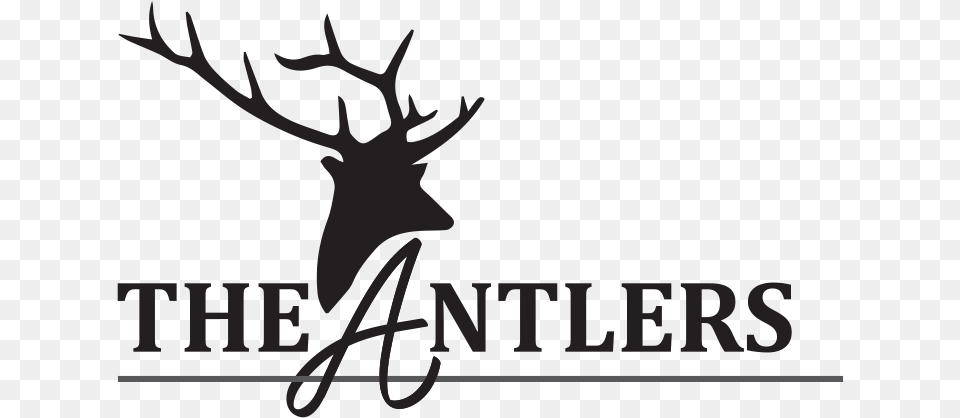 Reindeer, Animal, Antler, Deer, Mammal Free Png Download