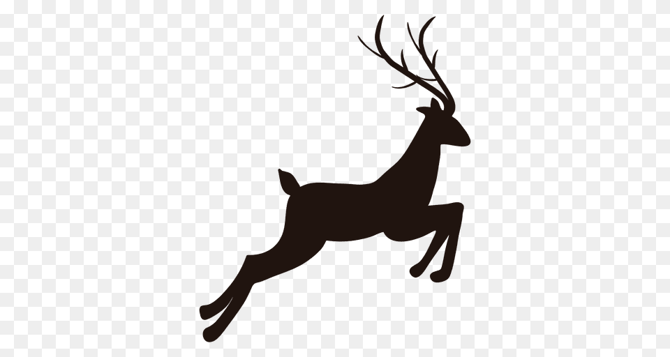 Reindeer, Animal, Deer, Mammal, Wildlife Free Png Download
