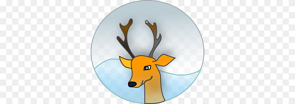 Reindeer Animal, Deer, Mammal, Wildlife Png