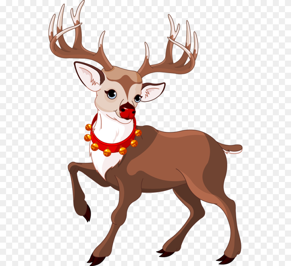 Reindeer, Animal, Deer, Mammal, Wildlife Png