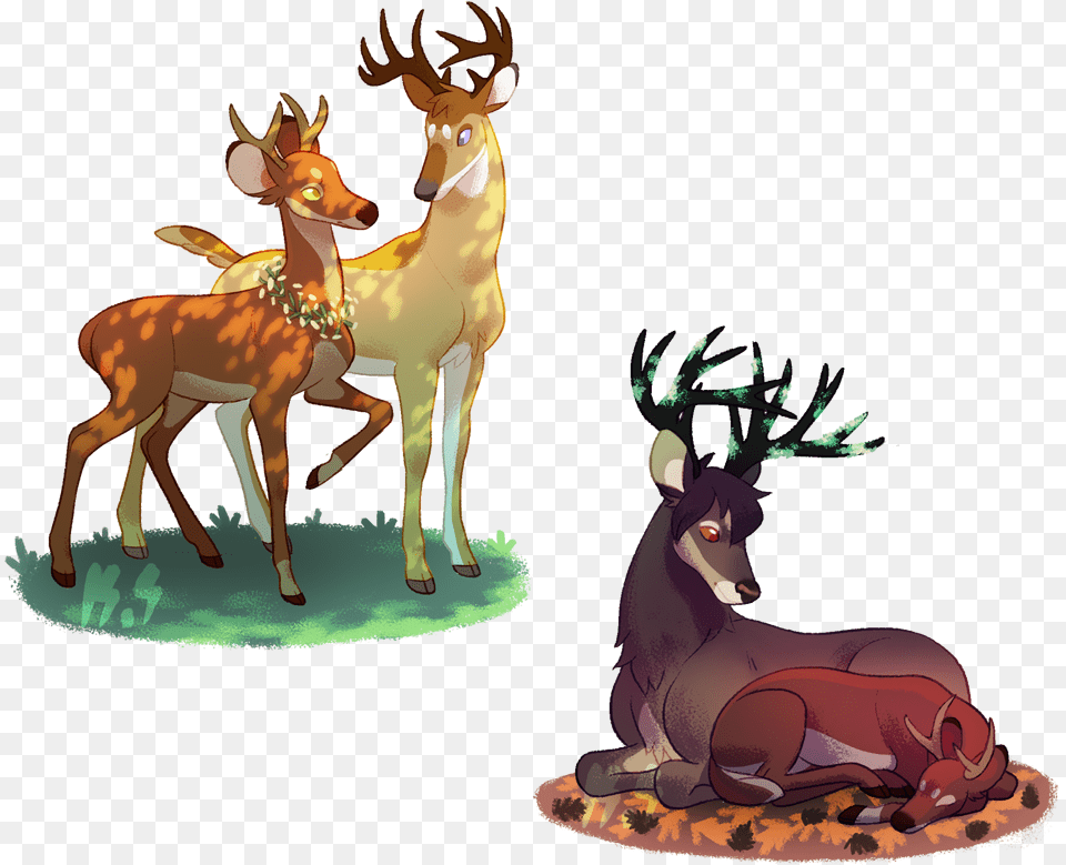 Reindeer, Animal, Deer, Wildlife, Mammal Free Transparent Png