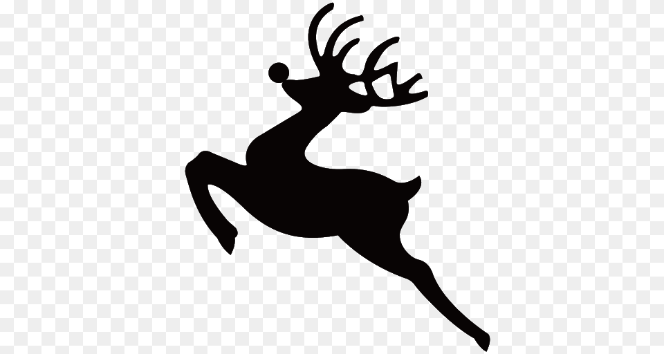 Reindeer, Animal, Deer, Mammal, Wildlife Png