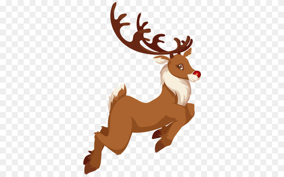 Reindeer, Animal, Deer, Mammal, Wildlife Png